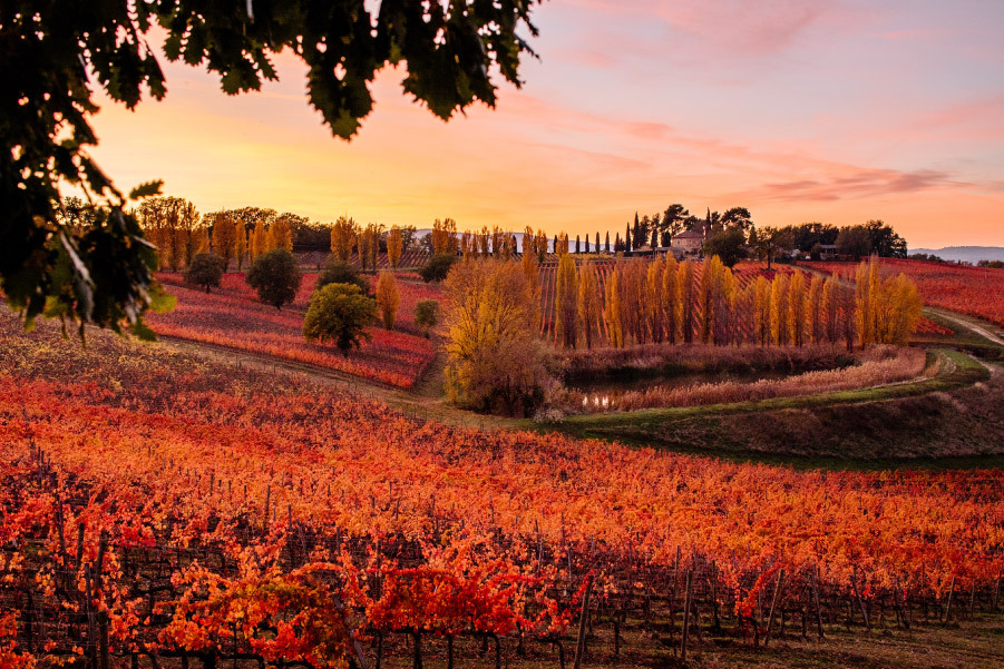 Cantina Arnaldo Caprai panorama autunno